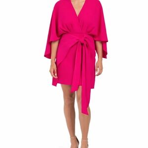Alexia Admor pink dolman oversized sleeved Dress tie front cape style Barbie